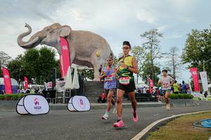 BIB: 
                            <button type="button" onclick="openModal(26528764)" class="btn btn-primary btn-sm float-right btn-popup" data-toggle="modal" data-target=".modal-high-quality">
                        <i class="fas fa-shopping-cart"></i> Add to Cart
                    </button>
                                            <button type="button" onclick="isThisMe(26528764, true)" class="btn btn-success btn-sm float-right btn-popup btn-isme hidden" data-toggle="tooltip" data-placement="bottom" title="นี่คือรูปของคุณใช่ไหม คลิกที่นี่เพื่อเอาเข้าอัลบั้ม">
                        <i class="fas fa-plus"></i> Add to album
                    </button>
                    <button type="button" onclick="isThisMe(26528764, false)" class="btn btn-warning btn-sm float-right btn-popup btn-isnotme hidden">
                        <i class="fas fa-ban"></i> Remove from album
                    </button>